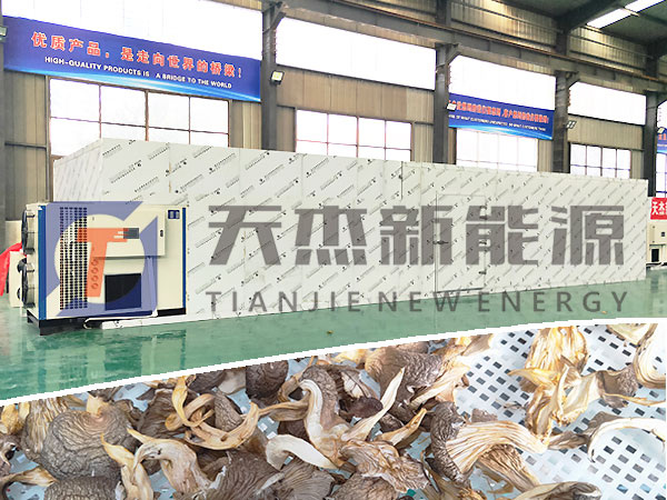 蘑菇烘幹機
