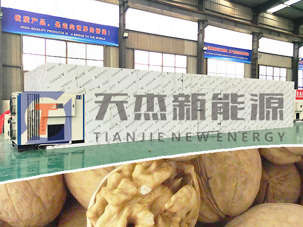 核（hé）桃烘幹機