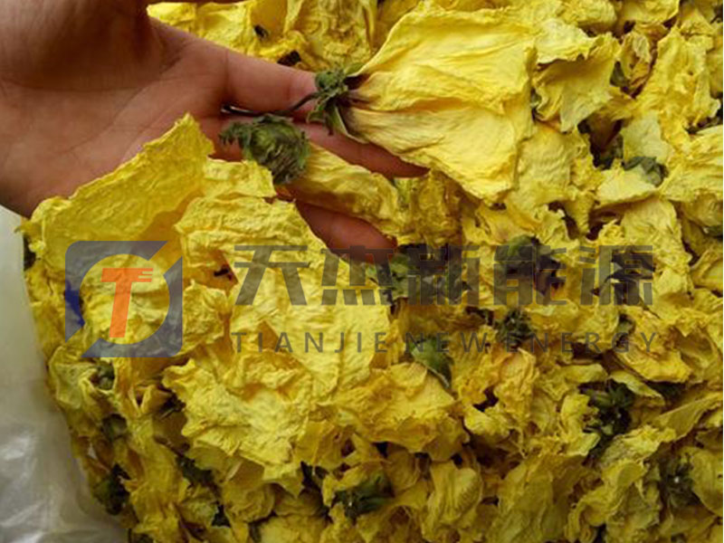 汝陽黃蜀葵烘幹（gàn）機扶貧項目安裝客戶現場